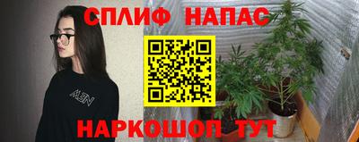 прущие грибы Бугуруслан