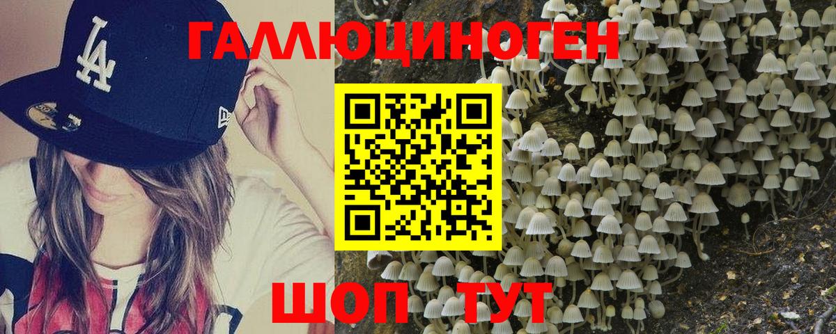 где найти наркотики  Галлюциногенные грибы GOLDEN TEACHER  Нижнекамск  Вход с VPN  Псилоцибиновые грибы Psilocybine cubensis 