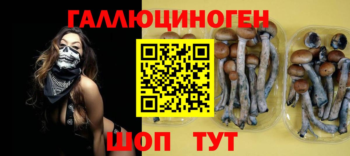 Галлюциногенные грибы ЛСД Нижнекамск